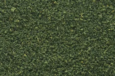 Gras, grün, fein, Streudose