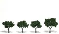 WL14.TR1513-30.jpg