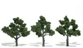 WL14.TR1513-50.jpg