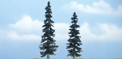 2 Fichten 12,5 cm u. 10 cm