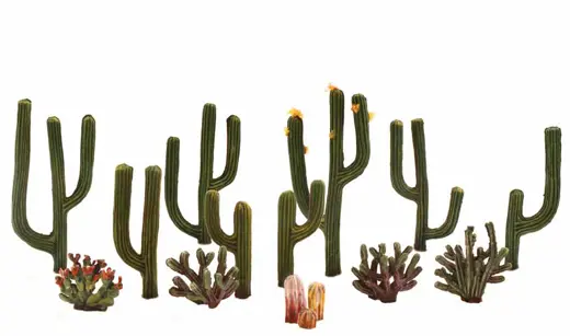 1/2-2 1/2" Cactus Plants 13/Pk