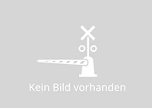 Lichtkörper 4 St