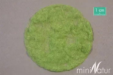 Gras-Flock 2 mm Grösse 50 g / Frühling