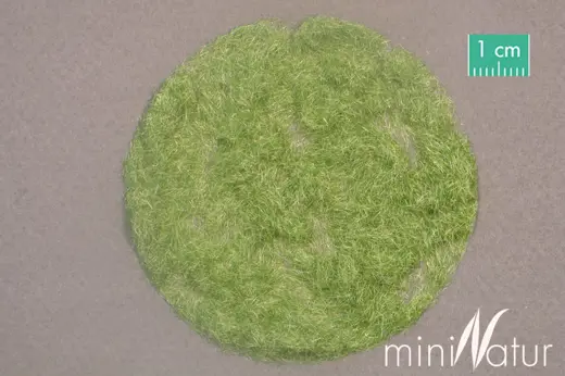 Gras-Flock 2 mm Grösse 50 g / Frühherbst