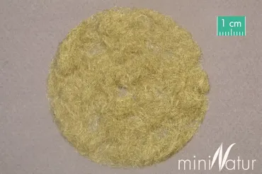 Gras-Flock 2 mm Grösse 50 g / Spätherbst