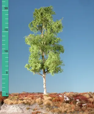 Espe 2 Stück ca. 8cm / Frühling