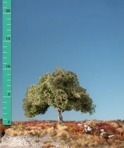 Apfelbaum 2 Stück ca. 8cm / Frühherbst