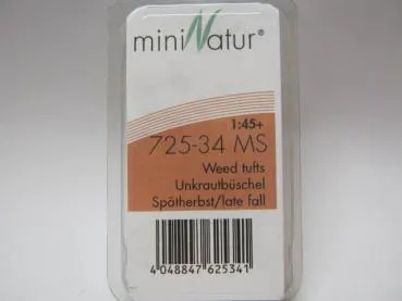 Unkrautbüschel Grösse ca.7.5x4cm / Spätherbst
