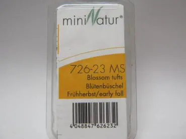 Blütenbüschel Grösse ca.7.5x4cm / Frühherbst