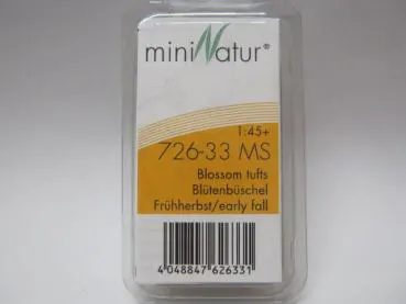 Blütenbüschel Grösse ca.7.5x4cm / Frühherbst