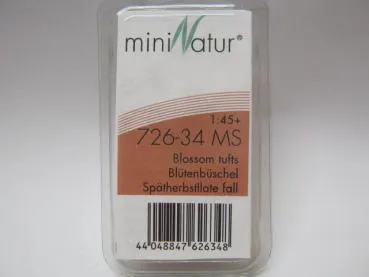 Blütenbüschel Grösse ca.7.5x4cm / Spätherbst