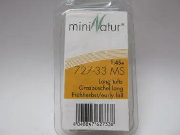 Grasbüschel lang Grösse ca.7.5x4cm / Frühherbst
