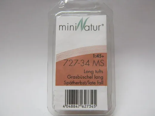 Grasbüschel lang Grösse ca.7.5x4cm / Spätherbst