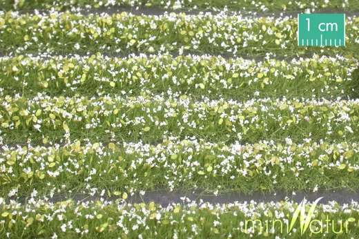 Blütenstreifen Grösse ca. 336 cm / Weiss