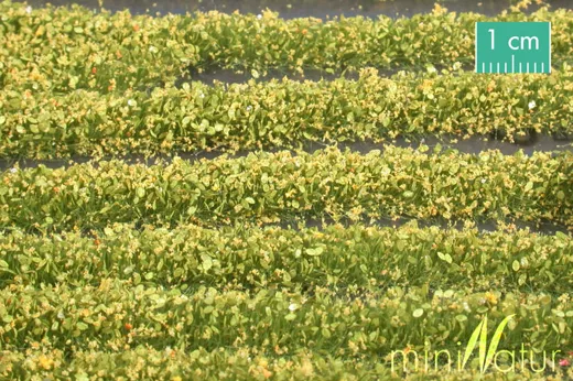 Blütenstreifen Grösse ca. 336 cm / Gelb