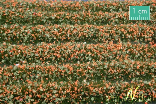 Blütenstreifen Grösse ca. 336 cm / orange