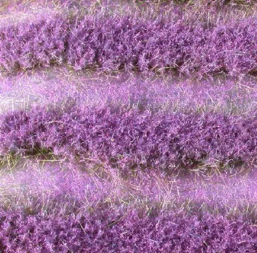 Lavendelfeld Streifen Grösse ca. 252 cm / Sommer