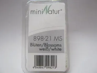 Blüten lose / Grösse ca 30ml / Weiss