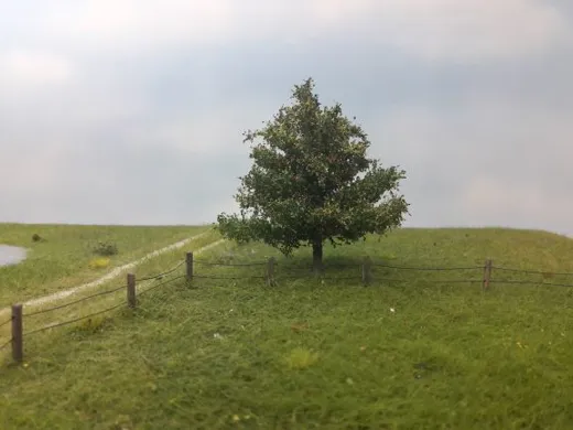 Apfelbaum 1 Stück 10-13cm / Frühherbst