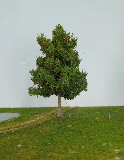 Apfelbaum 1 Stück 20-24cm / Sommer