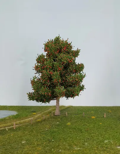 Apfelbaum 1 Stück 20-24cm / Frühherbst