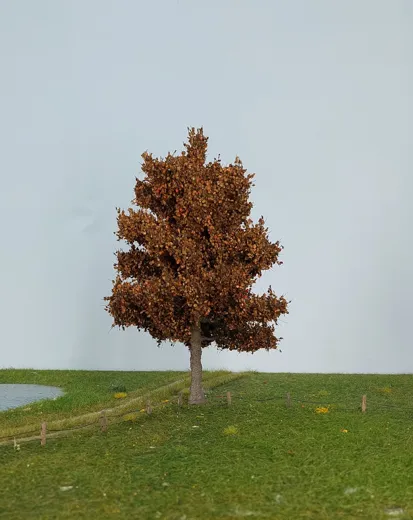 Apfelbaum 1 Stück 20-24cm / Spätherbst