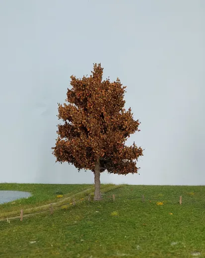 Apfelbaum 1 Stück 25-29cm / Spätherbst