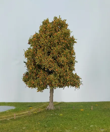 Platane 1 Stück 25-29cm / Frühherbst