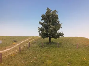 Espe 1 Stück 10-13cm / Sommer