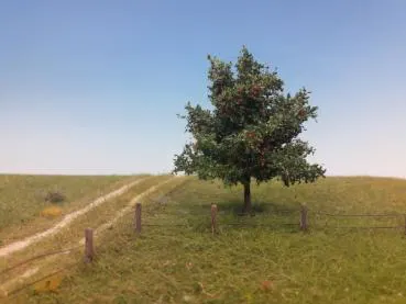 Apfelbaum 2 Stück ca. 8cm /Sommer