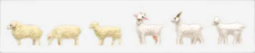 Sheep/Goats 6/