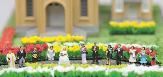 Wedding Party 12/
