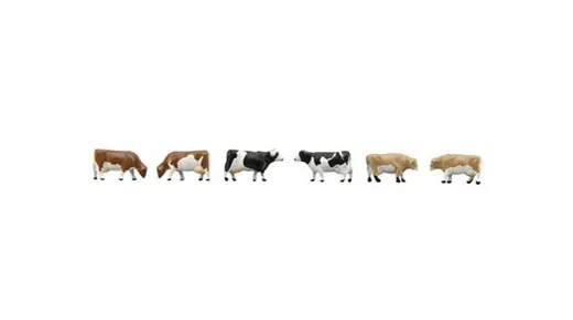 Cows in a Farm
