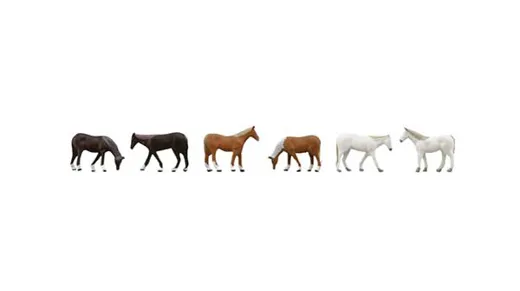 Horses in a Farm