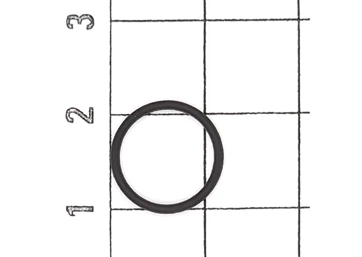 O-Ring 10 St