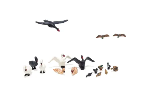 H0 Enten und Schwäne