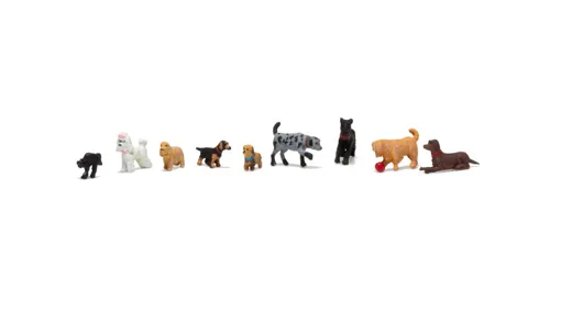 HO Hunde und Katzen