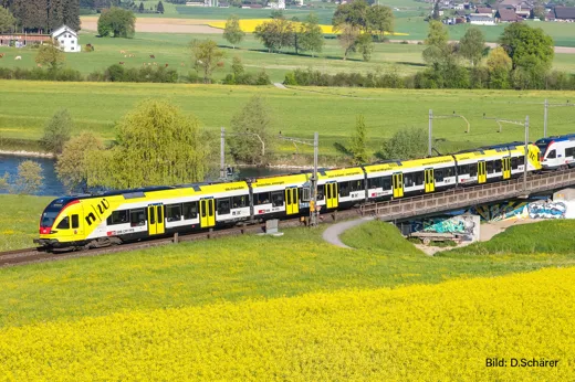 SBB Triebzug RABe 521 017 Muttenz, FHNW Ep.VI, DC