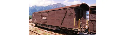 RhB Gak-v 5420 Grossraumgüterwagen