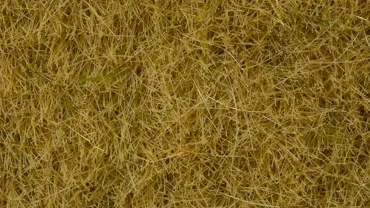 Wildgras beige 50g Beutel