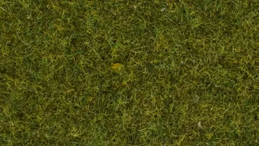Wildgras Wiese, 9 mm, 50 g
