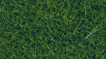 Wildgras, dunkelgrün, 9 mm, 50 g