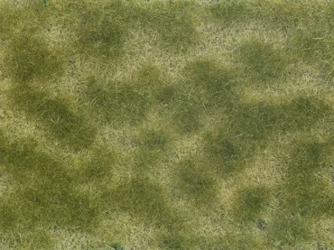 Bodendecker-Foliage grün/beige 12 x 18 cm