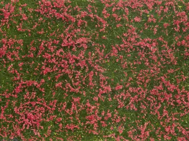 Bodendecker-Foliage Wiese rot 12 x 18 cm