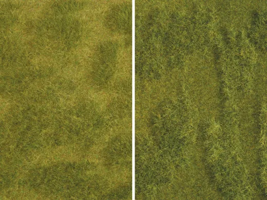 Natur+ Saftige Wiese 25 x 25 cm