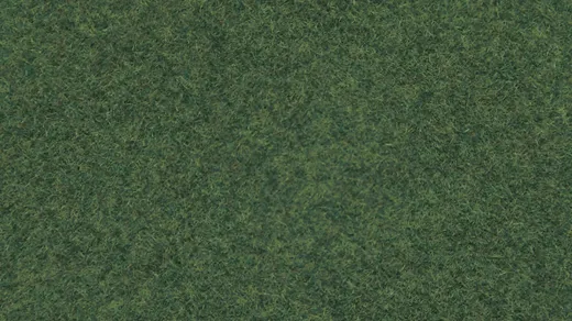 Streugras, olivgrün, 2,5 mm 20g Beutel