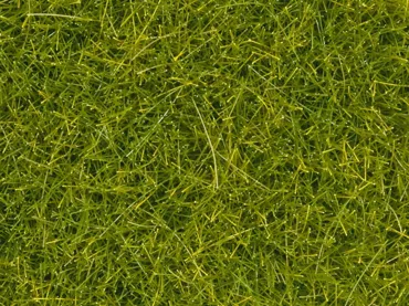 Streugras, hellgrün, 4 mm, 20g