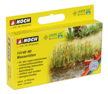 L-C minis Wasserlilien