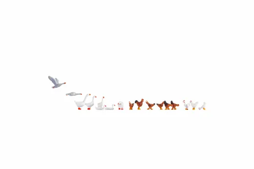 Hühner und Gänse