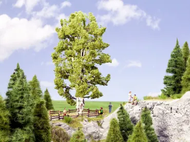 Doppelstämmige Birke, 19 cm hoch